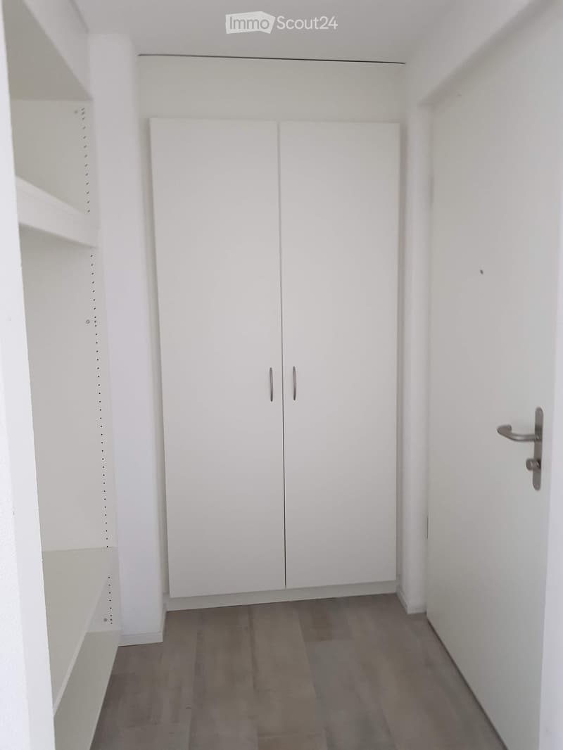 Empty hallway with white walls, light wooden flooring, built-in white closet with double doors, and a door handle on the right side.