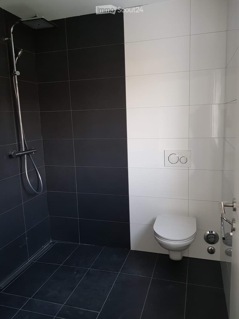 Modern bathroom with dark grey tiles, white toilet, and a showerhead with handheld sprayer.