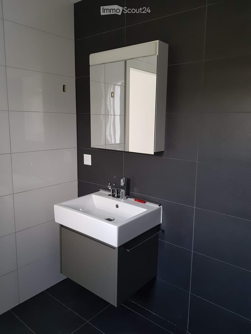 Modern bathroom with a white sink, chrome faucet, mirrored cabinet, and dark tiled walls and floor.