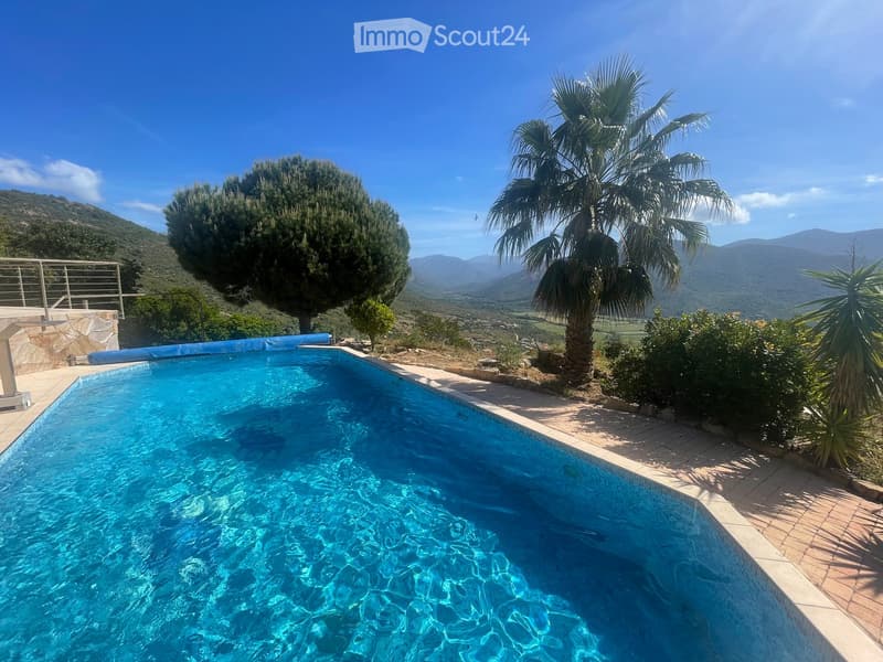 A swimming pool surrounded by a tiled deck, with a palm tree and scenic mountain view in the background.