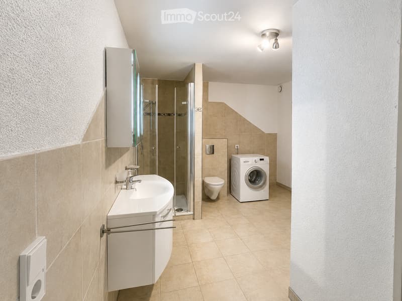Modern bathroom with a white sink, mirror, toilet, washing machine, and a glass-enclosed shower area.