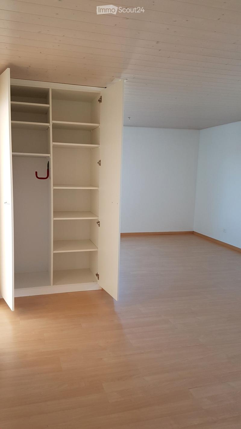 Empty room with light wooden flooring, white walls, and an open built-in closet with multiple shelves.
