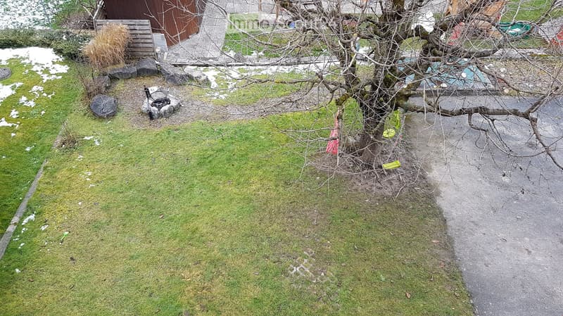 A small, partially snow-covered garden with a grassy lawn, a tree with bare branches, a wooden fence, and scattered items including a bench and a small structure.