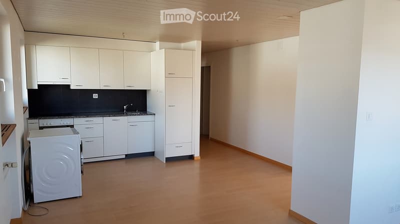 Modern kitchen with white cabinets, a sink, and a washing machine. The space features light wooden flooring and a dark backsplash.