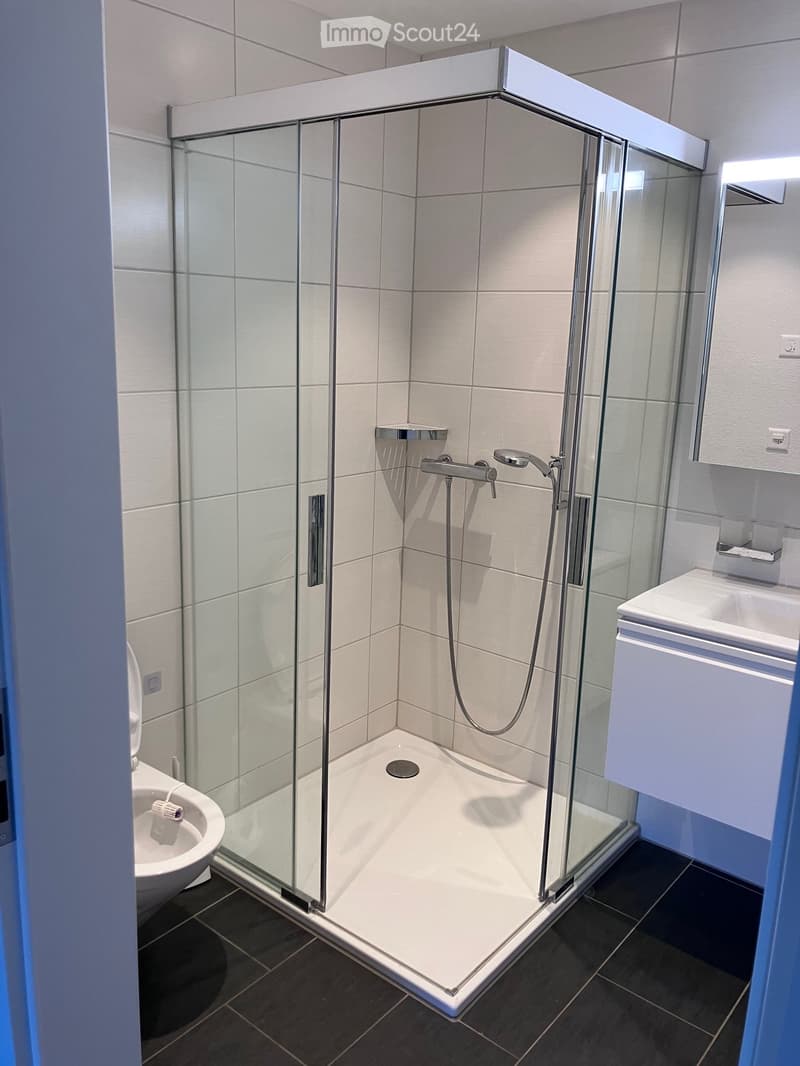 white tile walls, glass walk-in shower, toilet, white sink, white vanity