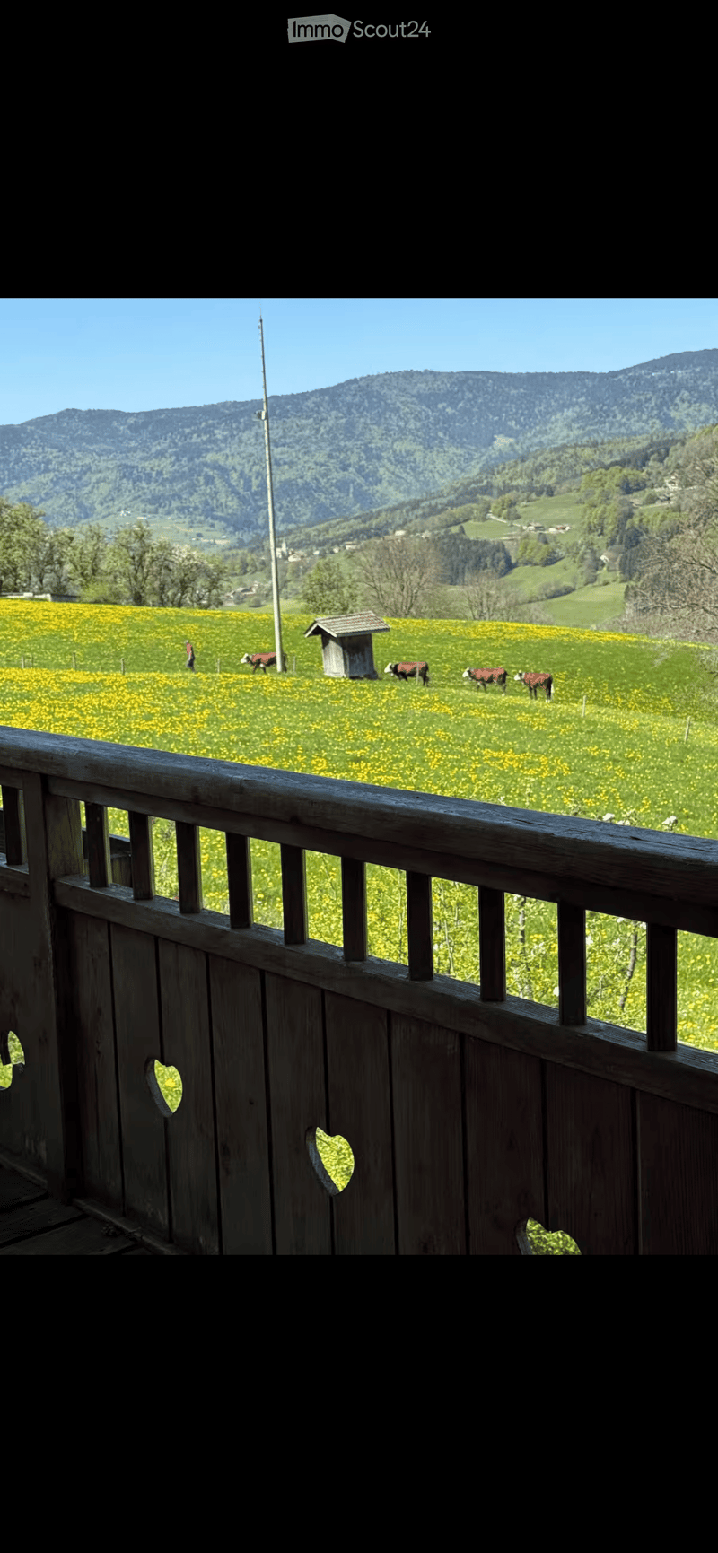 Balcony overlooking a green field with cows grazing, surrounded by hills and a clear blue sky.