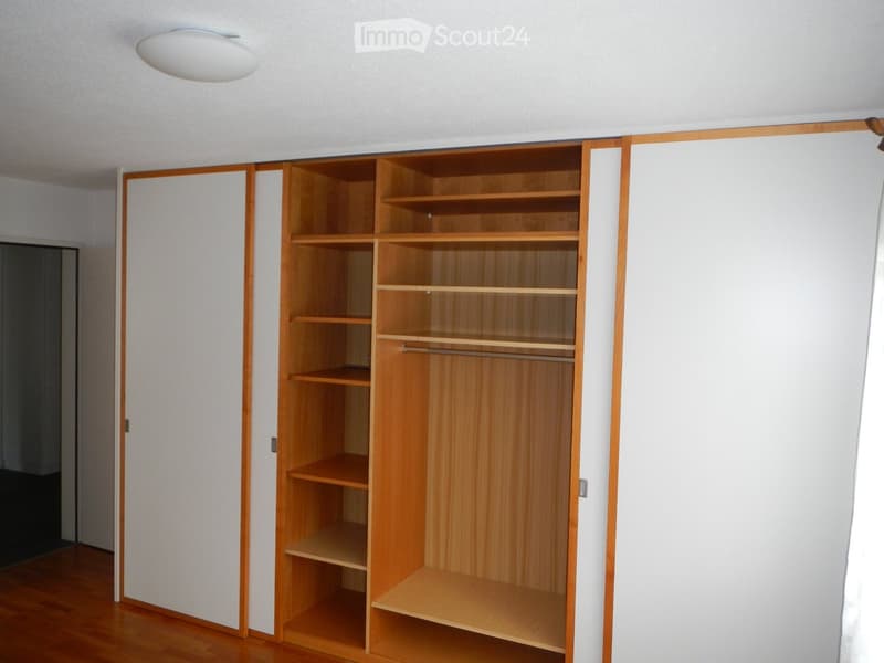 Empty room with wooden floor, white walls, and a large open wooden closet with multiple shelves and a hanging rod.