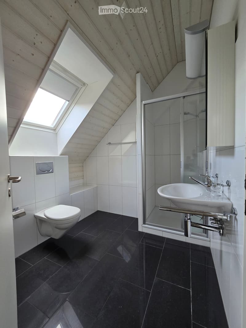 Modern bathroom with black tiled floor, white tiled walls, toilet, sink with faucet, and glass shower enclosure. Features skylight windows and sleek fixtures.