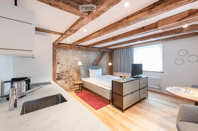 Serviced Apartment by Hotel an der Aare, Solothurn (14)