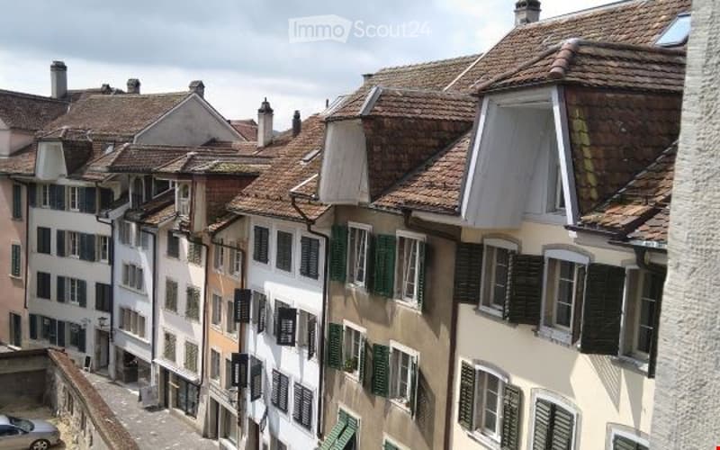Serviced Apartment by Hotel an der Aare, Solothurn (6)