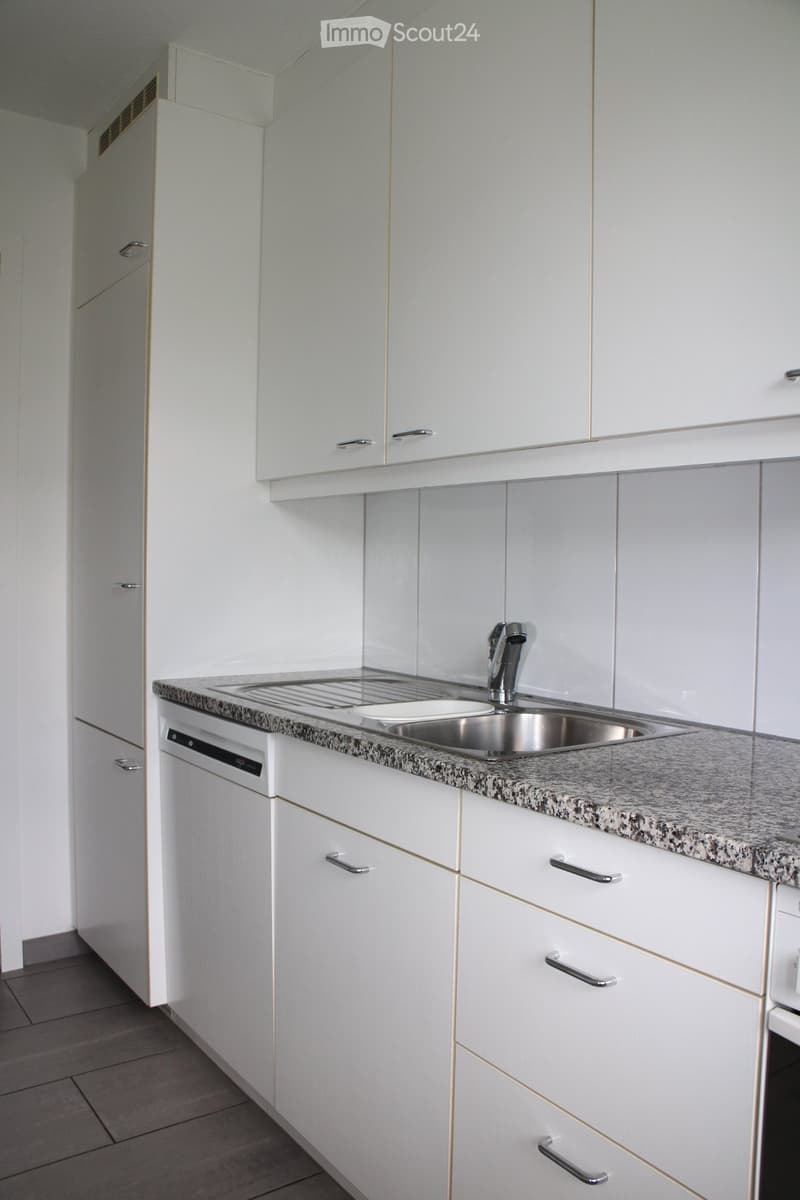 Modern kitchen with white cabinets, granite countertop, stainless steel sink, and built-in dishwasher.