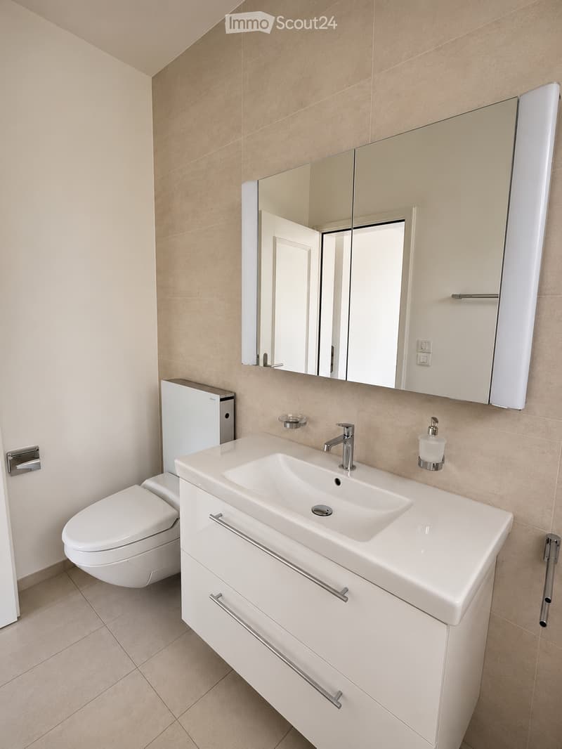 Modern bathroom with a white sink, chrome faucet, large mirror, toilet, and built-in cabinet with silver handles.