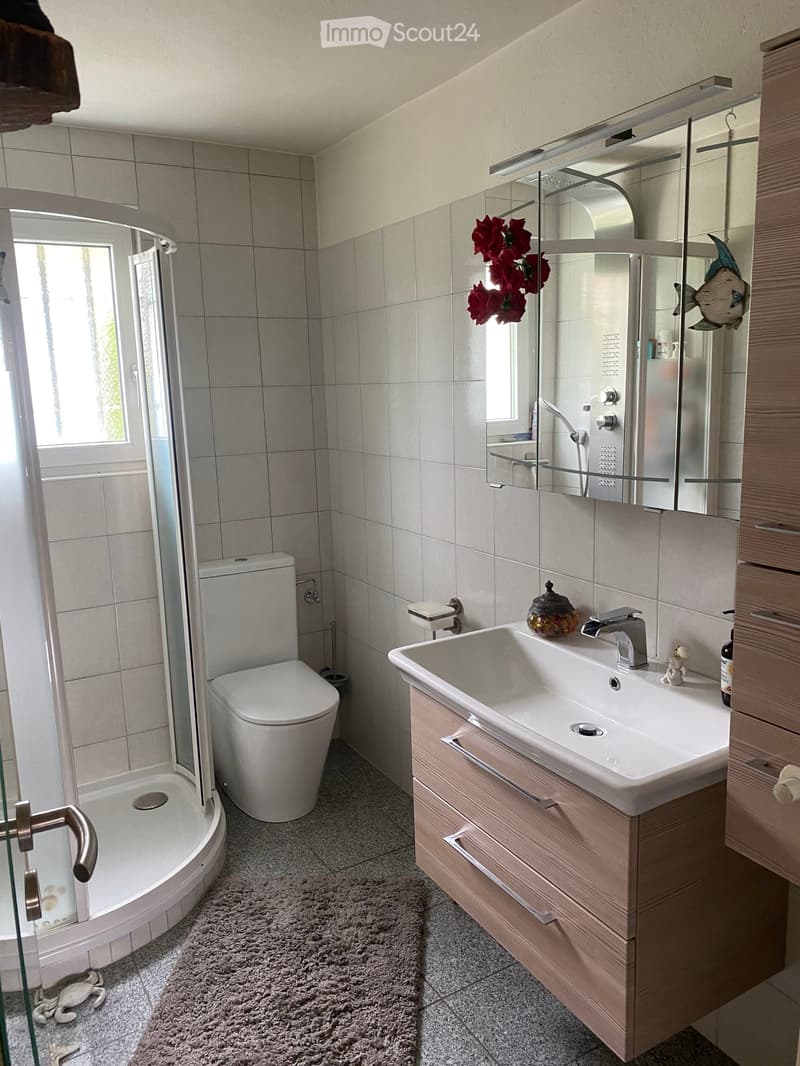 Modern bathroom with a toilet, sink, mirror, and shower. Features a wooden cabinet, a decorative fish on the mirror, and a small rug on the floor.