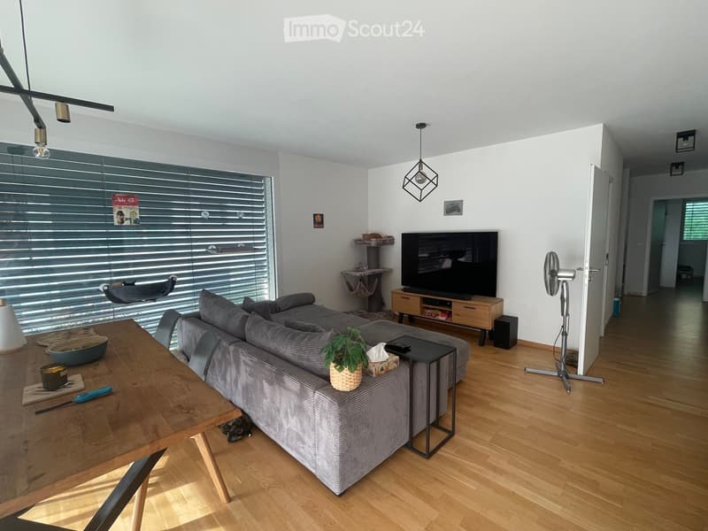 Modern living room with a grey sectional sofa, wooden coffee table, dining table, chairs, a standing fan, a cat tree, a potted plant, and a television on a wooden stand.
