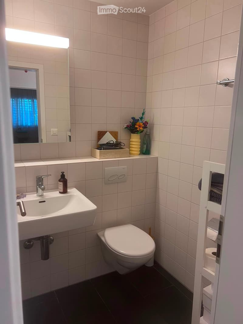 Modern bathroom with white tiled walls, a sink with a chrome faucet, a toilet, a mirror with a built-in light, a vase with flowers, and a towel rack.