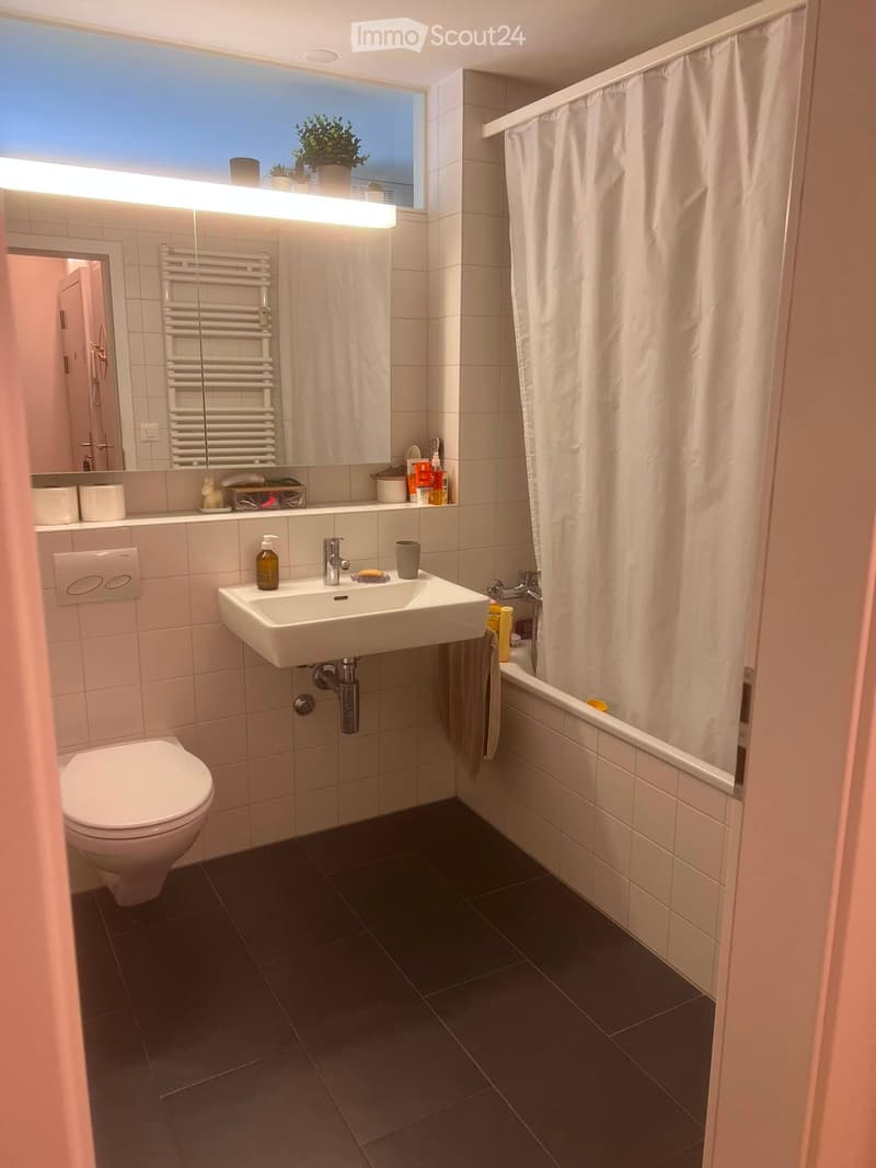 Modern bathroom with white tiles, dark floor, toilet, sink, bathtub, mirror, and radiator. Features a window with a plant on the sill and a towel hanging on the side of the bathtub.