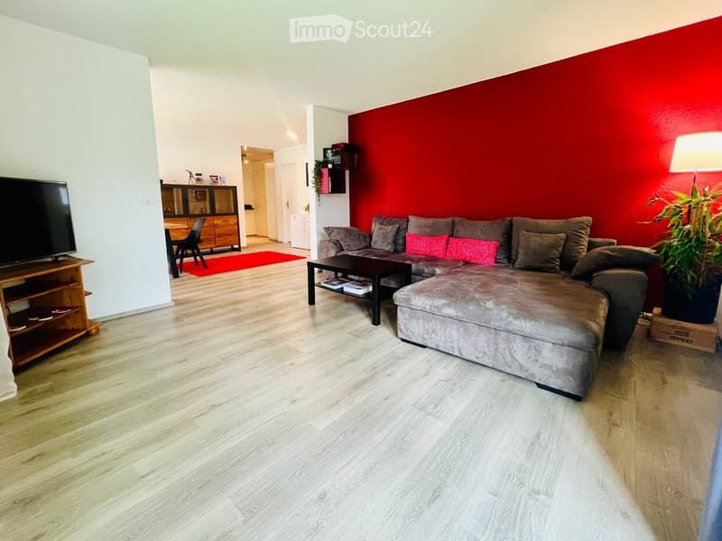 Modern living room with a grey sectional sofa, red accent pillows, a dark coffee table, a flat-screen TV on a wooden stand, a dining area with a table and chairs, and a potted plant near the wall.
