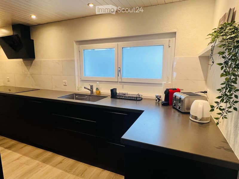 Modern kitchen with dark cabinets, stainless steel sink, and countertop appliances including a toaster, coffee maker, and a cup. A dish rack is visible near the sink, and a small plant is placed on the counter.