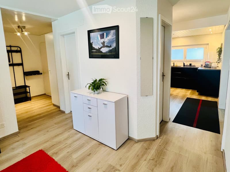 A modern hallway with a white cabinet, a potted plant, a picture frame on the wall, and a shelf. The hallway leads to a kitchen area with a sink, faucet, and toaster.
