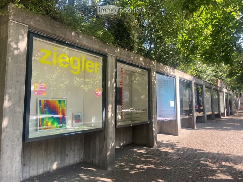 Outdoor gallery space with glass display cases showing artwork, surrounded by trees and a paved walkway.
