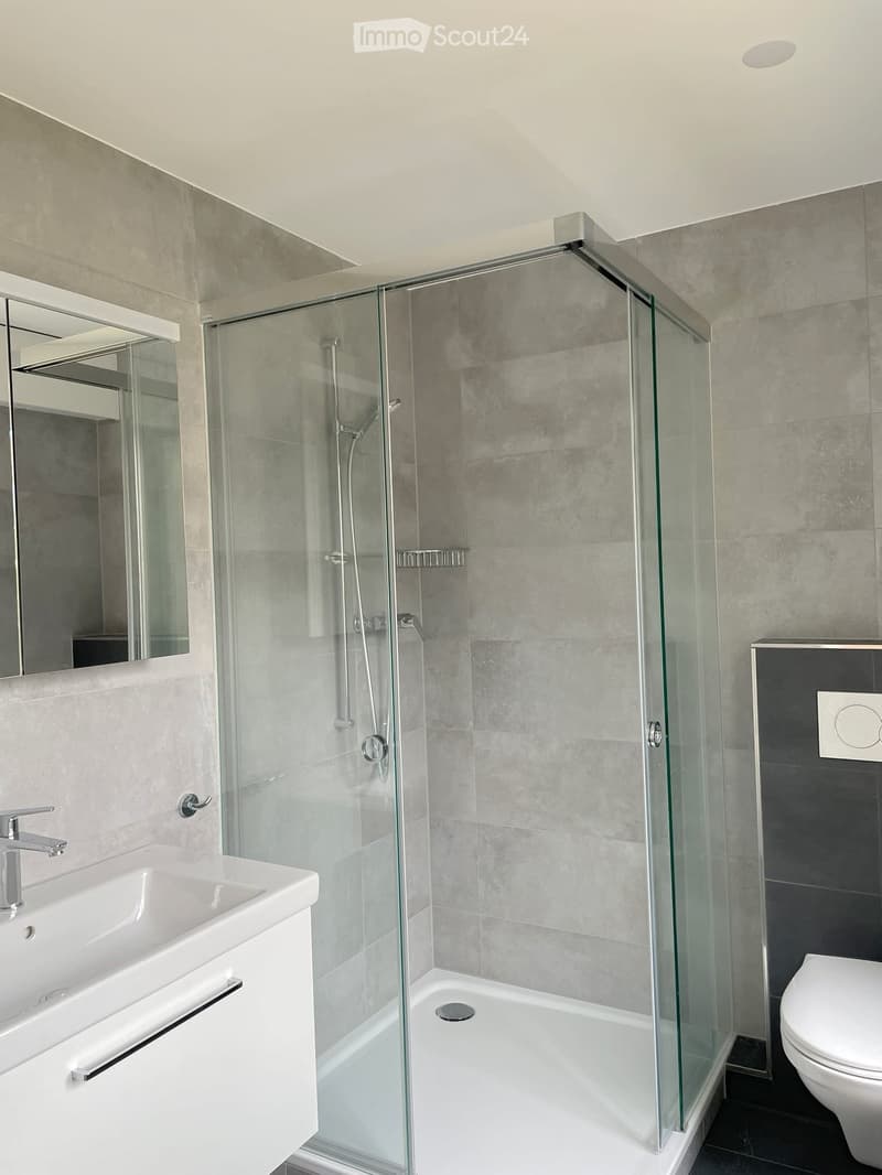 Modern bathroom with a white sink, chrome faucet, large mirror, glass-enclosed shower, and toilet.