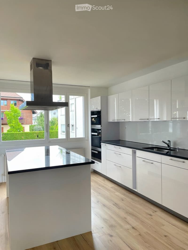 Modern kitchen with white cabinets, black countertops, a central island, and stainless steel appliances including an oven and range hood. The room features large windows with a view of the garden and neighboring houses.