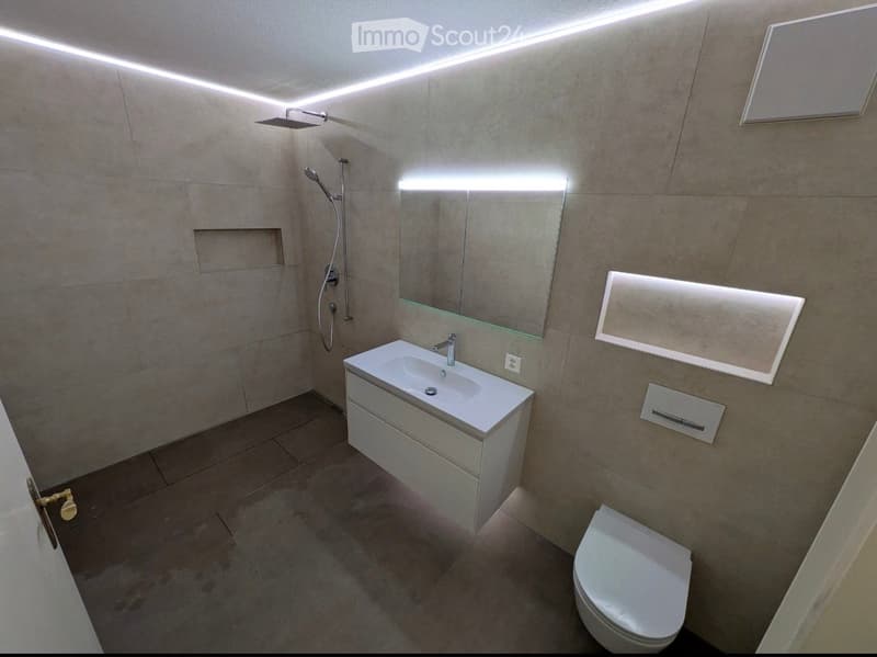 Modern bathroom with a white sink, toilet, large mirror, and shower area. Features built-in storage and sleek LED lighting.