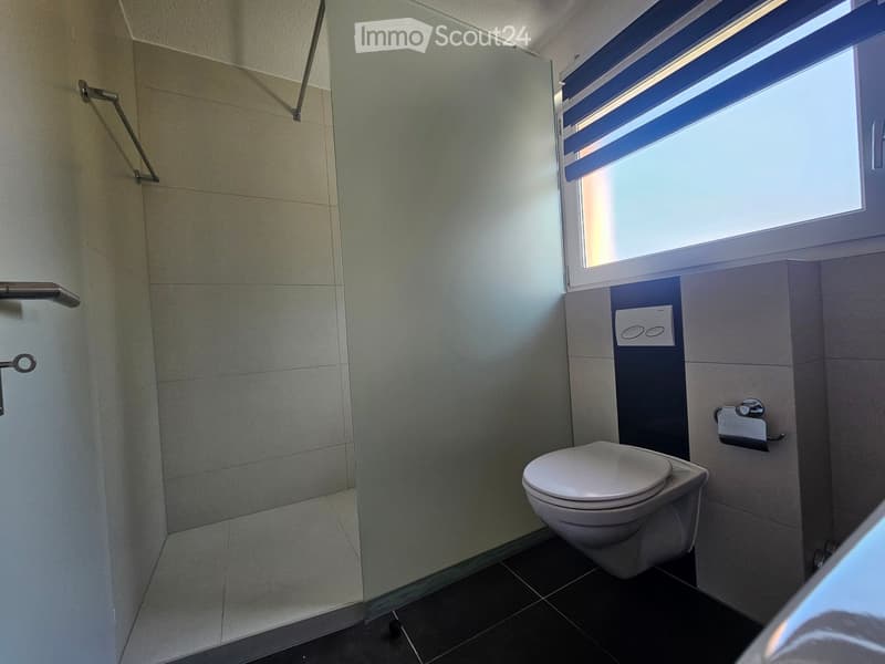 Modern bathroom with a toilet, toilet paper holder, and a glass shower enclosure with a handle. The room features tiled walls and a window with blinds.