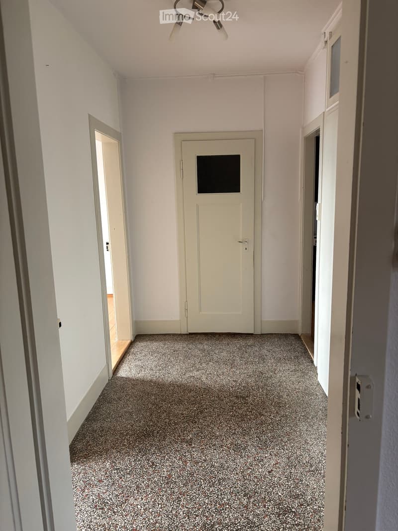 Empty hallway with white walls, speckled gray carpet, and several doors.