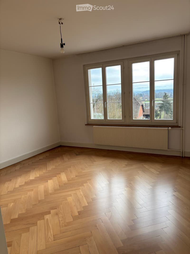 Empty room with wooden herringbone flooring, large windows with a scenic view, radiator, and a single hanging light fixture.