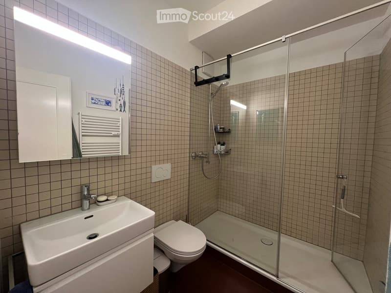 Modern bathroom with tiled walls, a glass-enclosed shower, a white sink with a mirror cabinet, and a toilet. Includes a radiator and a small shelf inside the shower.