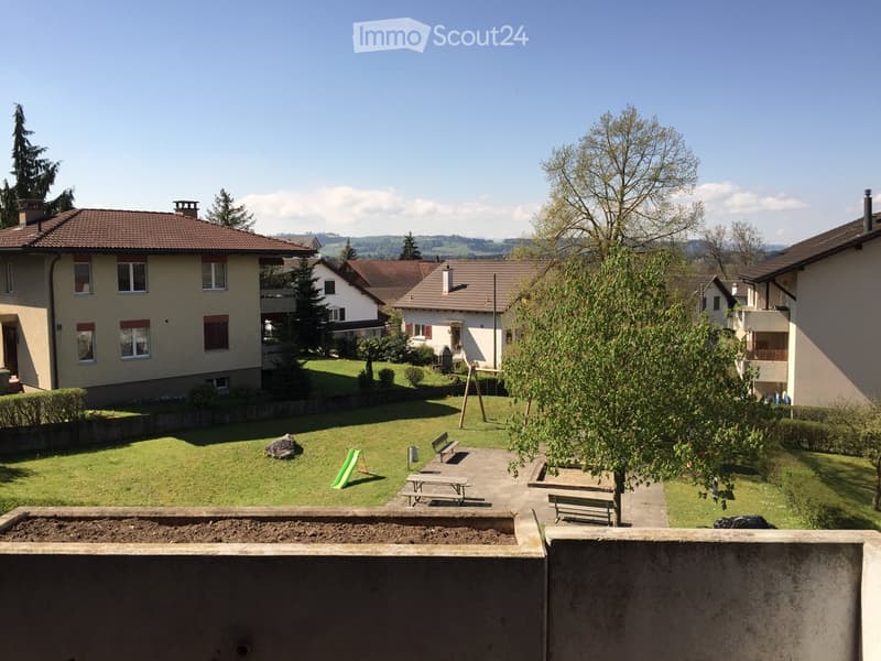 A garden with a grassy lawn, a slide, a bench, a picnic table, and a tree.