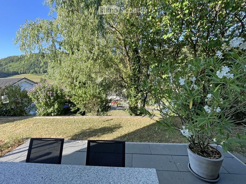 A sunny outdoor patio with a stone table, two black chairs, and a potted plant with white flowers. The area is surrounded by trees and a grassy lawn, with a house visible in the background.