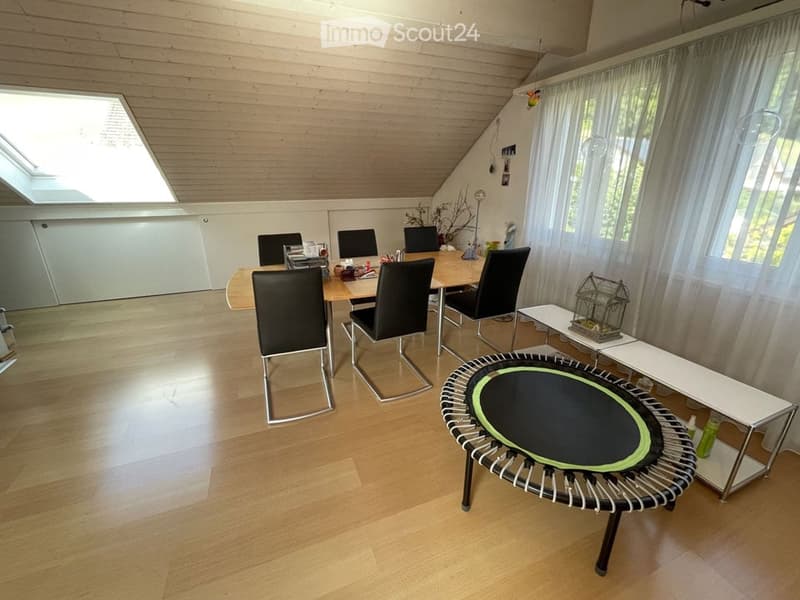 Bright room with wooden floors and slanted wooden ceiling, featuring a table with chairs, a mini trampoline, and a small birdcage on a shelf.