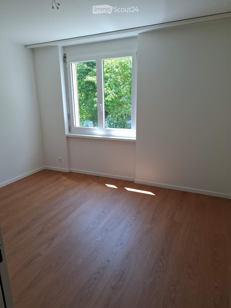 Empty room with wooden flooring, white walls, and a large window with white frames showing greenery outside.