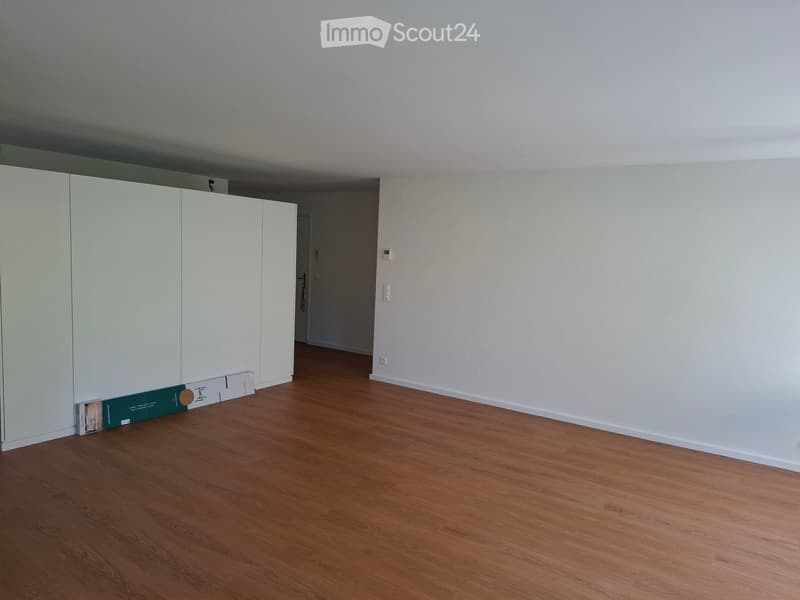 Empty room with light-colored walls, wooden flooring, and a white closet. No furniture or personal items are present.