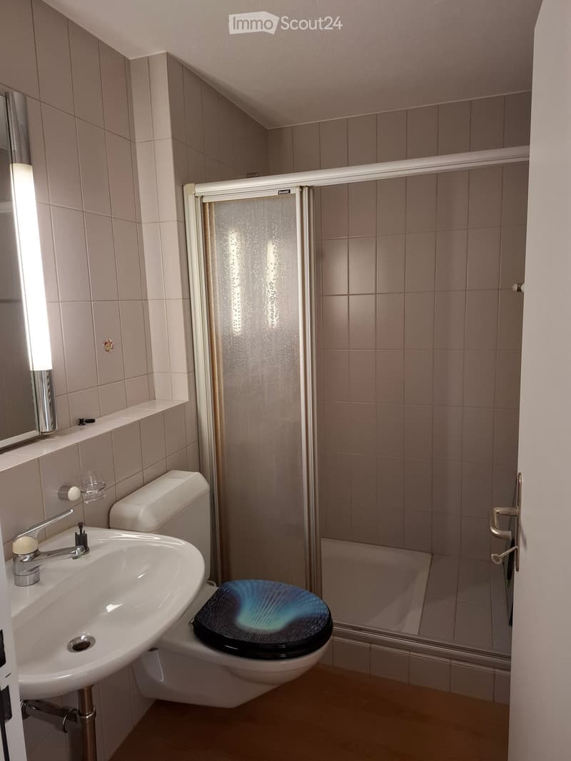 Modern bathroom with beige tiles, a white sink with a chrome faucet, a toilet with a blue seat cover, a shower stall with a glass door, and a mirror on the wall.