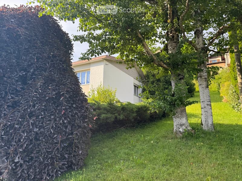 A well-maintained garden with a trimmed hedge, several trees, and a house in the background.