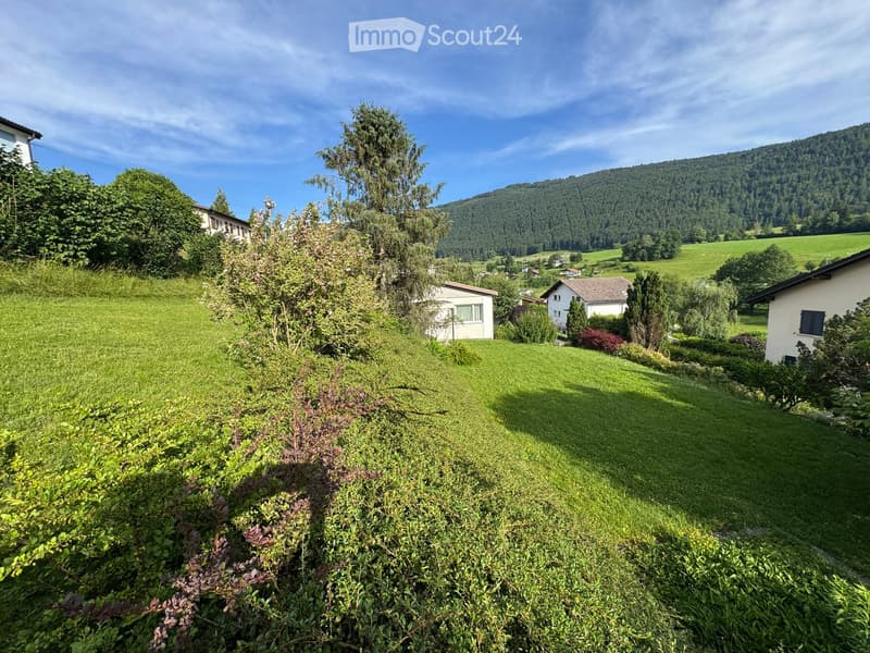 A lush green garden with well-maintained grass, bushes, and trees, surrounded by houses and a scenic mountain backdrop.