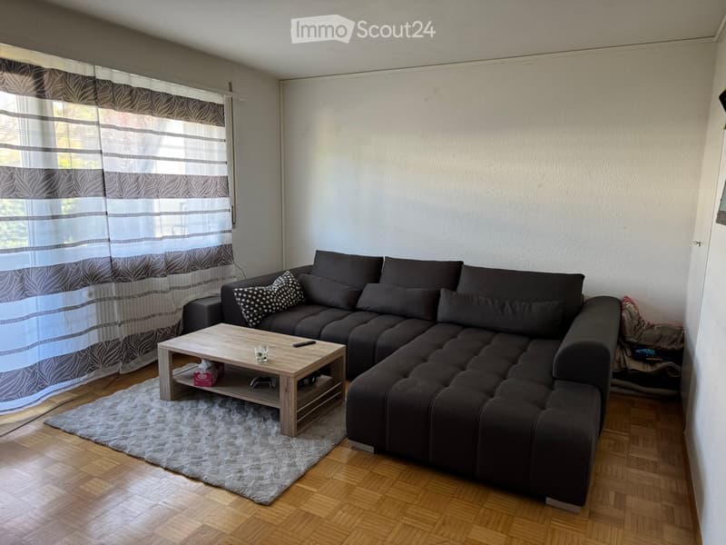 Modern living room with a dark grey sectional sofa, wooden coffee table, and patterned throw pillow. The room features wooden flooring and a large window with grey and white curtains.