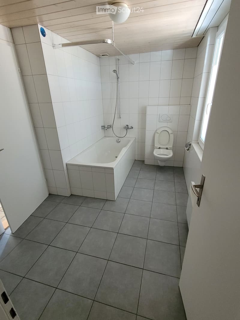 white tiled walls, bathtub, shower head and hose, toilet, gray tiled floor, light fixture
