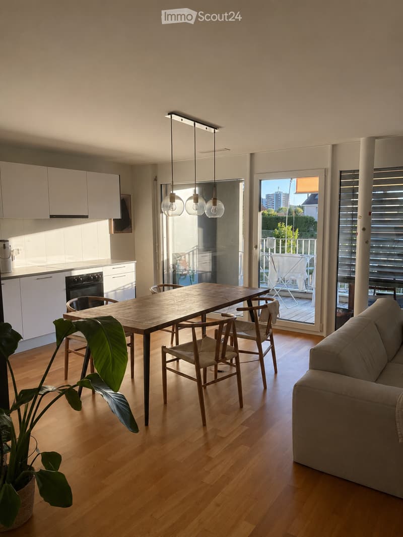 Bright, open-plan living and dining area with wooden flooring, a sofa, a dining table with chairs, a kitchen area with cabinets and an oven, pendant lights, and a potted plant. Large windows and sliding doors lead to a balcony.