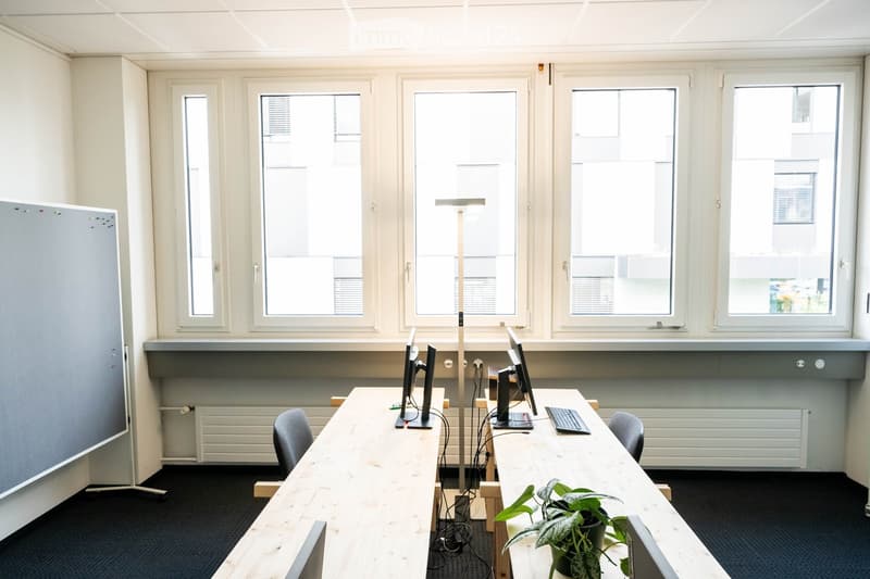 Bright, modern office space with large windows, a long wooden table, multiple computer monitors, chairs, a floor lamp, and a potted plant.