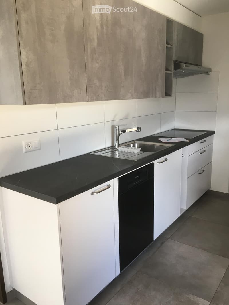 Modern kitchen with white cabinets, black countertops, a stainless steel sink, and a built-in dishwasher.