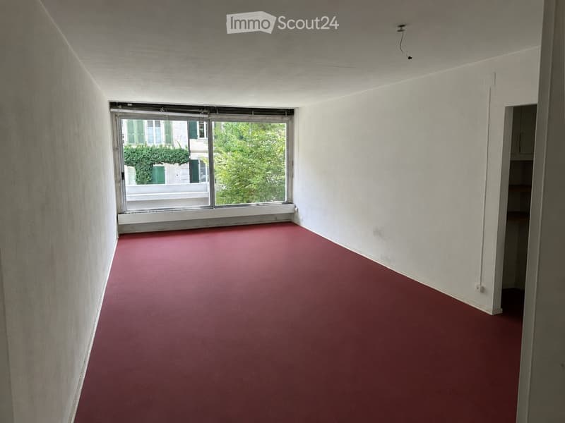 Empty hallway with red carpeting, white walls, and a large window leading to a balcony area with greenery visible outside.