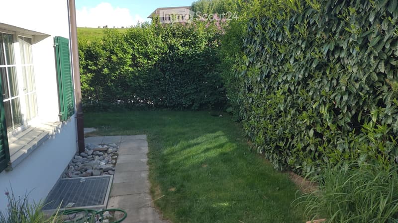 Garden / Outdoor Area. A well-maintained garden with a concrete pathway, green hedges, and a small grassy area. The garden is bordered by a house with green shutters and a visible window.