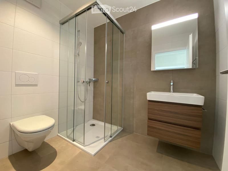 Modern bathroom with a glass-enclosed shower, a white toilet, a wooden vanity with a sink, and a large mirror with built-in lighting.
