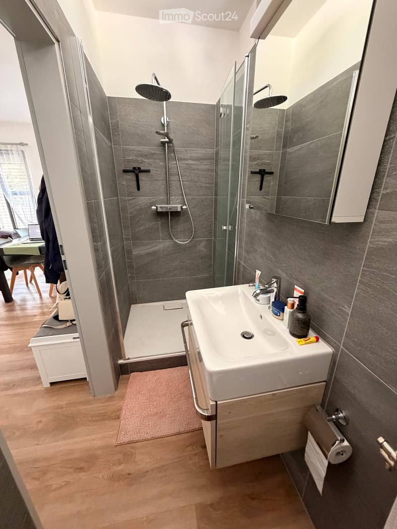 Modern bathroom with a white sink, glass-enclosed shower, and grey tiled walls. Includes a mirror, faucet, and various toiletries on the sink counter.