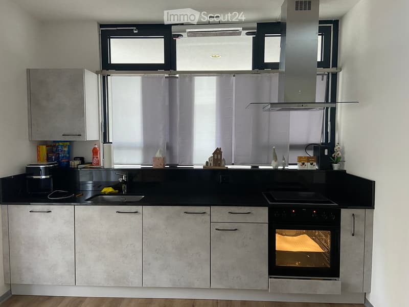 {"type": "Kitchen", "objects": ["sink", "faucet", "oven", "cabinets", "countertop", "fridge", "toaster", "oven mitt", "oven cleaner", "oven cleaner bottle", "oven cleaner spray", "oven cleaner spray bottle", "oven cleaner spray bottle", "oven cleaner spra