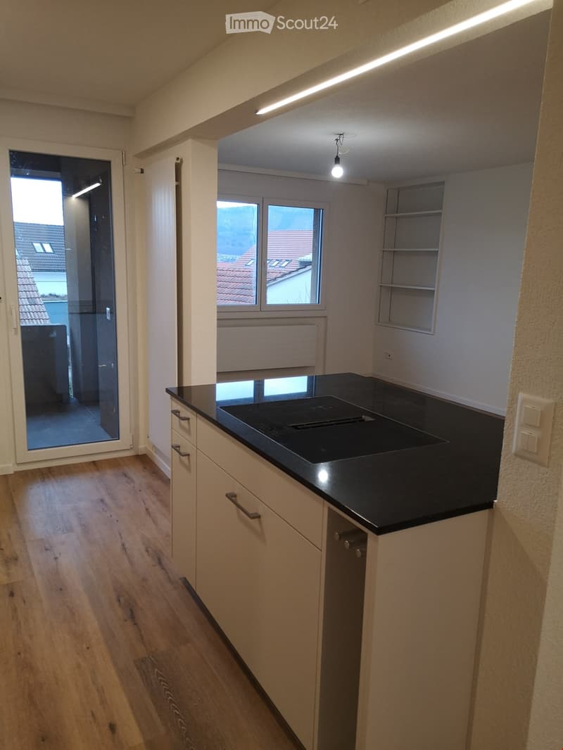 Modern kitchen with light wooden flooring, white cabinets, black countertop, and an induction cooktop. Features built-in shelves and a large window with a view of the roof.